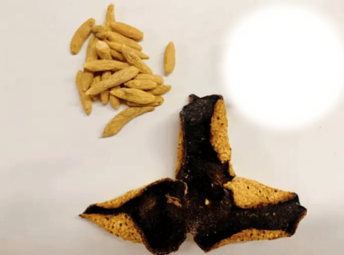 Chenpi, Hawthorn, and Maidong Pairing