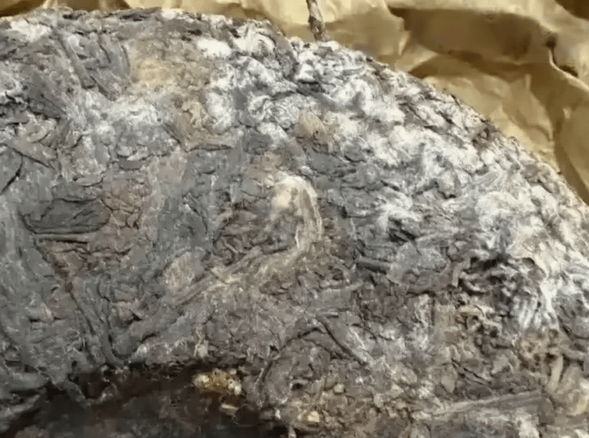 Can You Drink Chenpi Pu'er If the Chenpi Is Moldy