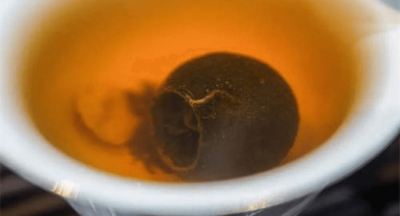 Shelf Life and Preservation Guide for Xiaoqinggan: Room Temperature vs Refrigeration