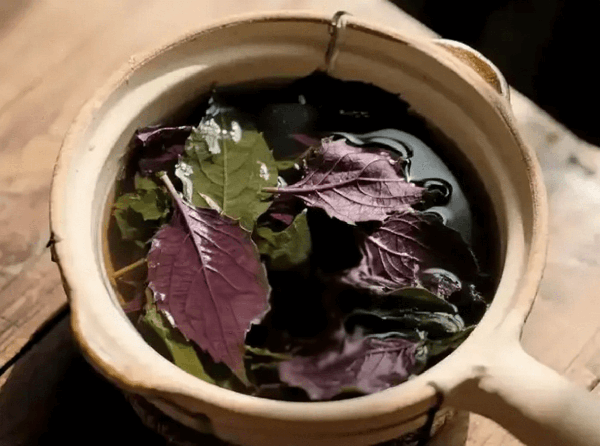 How to Make Perilla Chenpi Ginger Water and Its Health Benefits