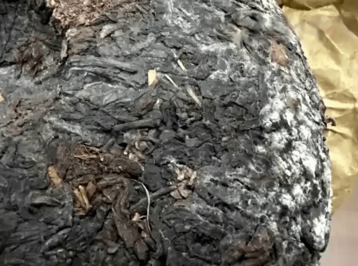 Is the White Layer on Chenpi Pu-erh Tea Safe to Drink? Unveiling the Truth About "White Frost"