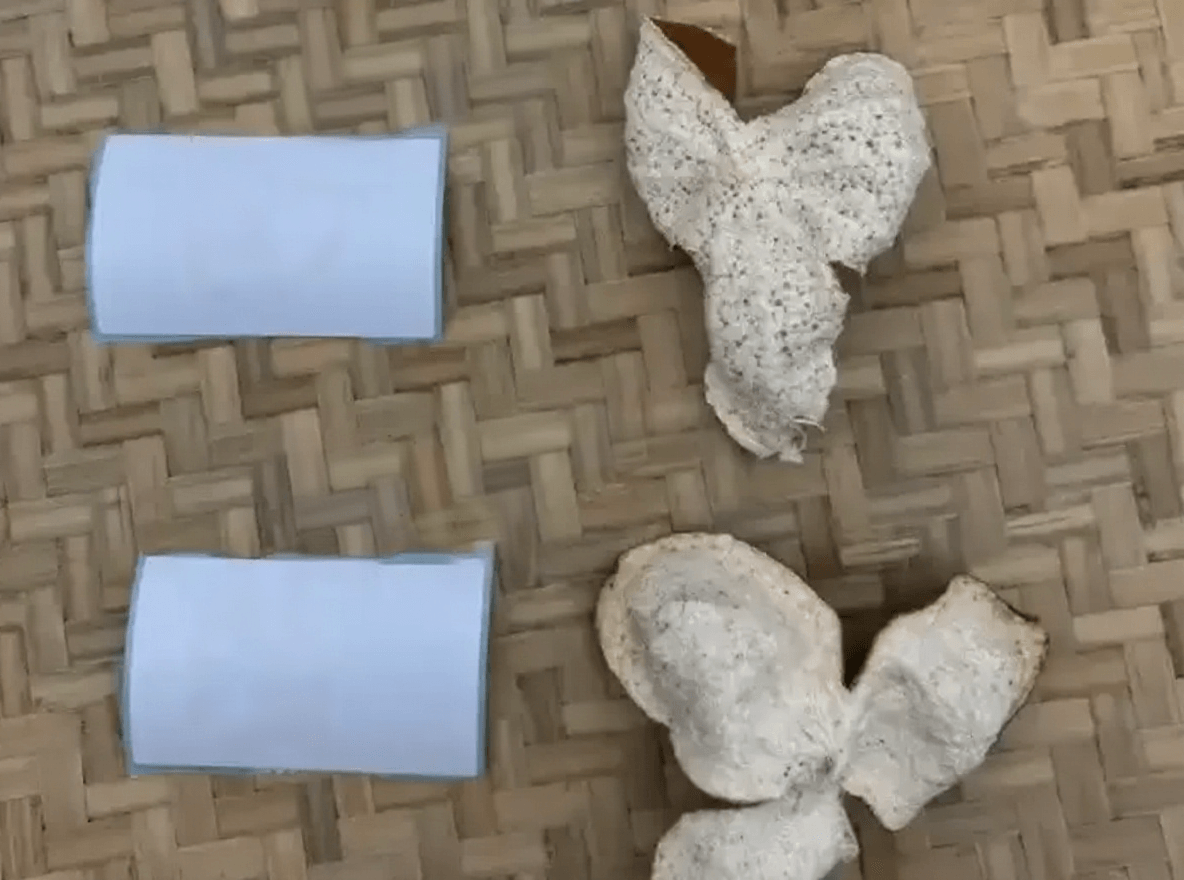 Chazhigan Circling vs. Grafting: A Common Distinction