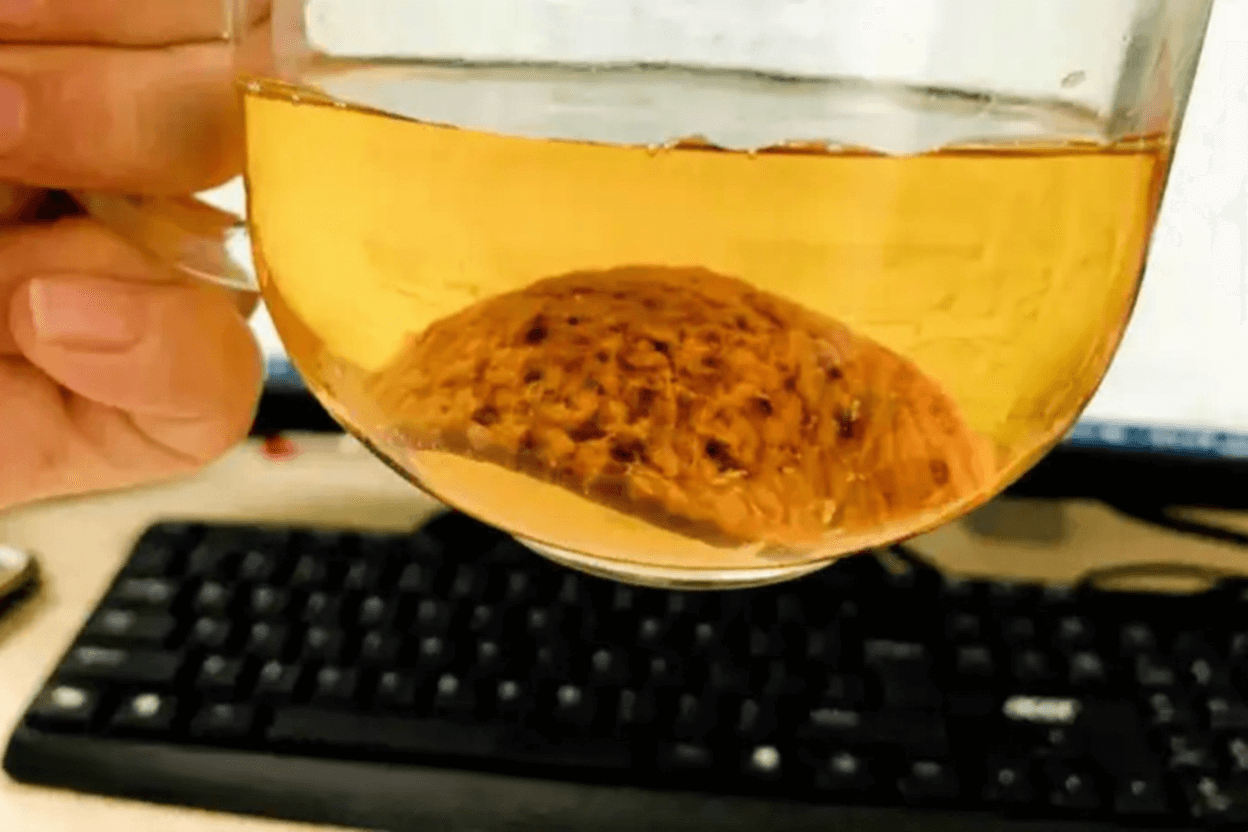 Why Chenpi Tea Tastes Bitter and Tips for Improvement