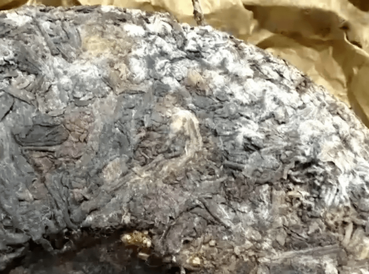 陈皮普洱茶出现白霜/白毛能否饮用