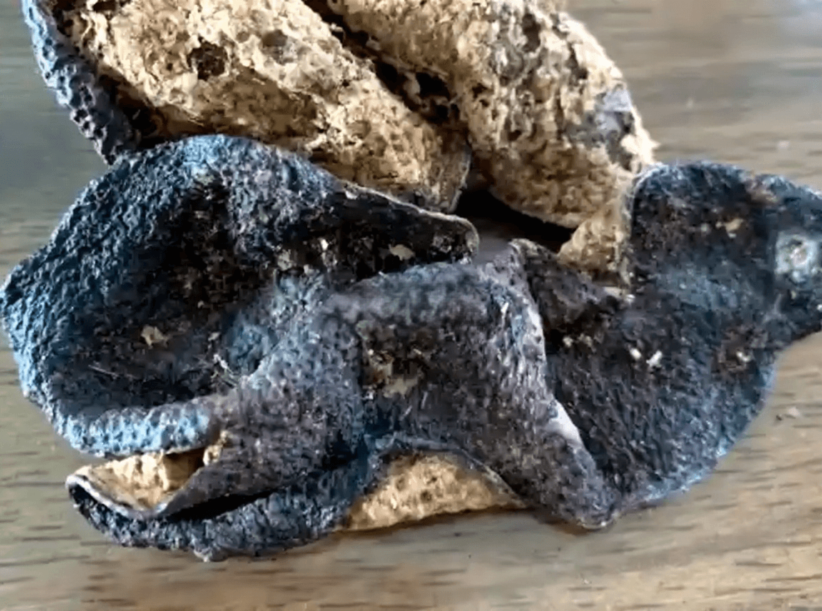 Is Darker Chenpi Better