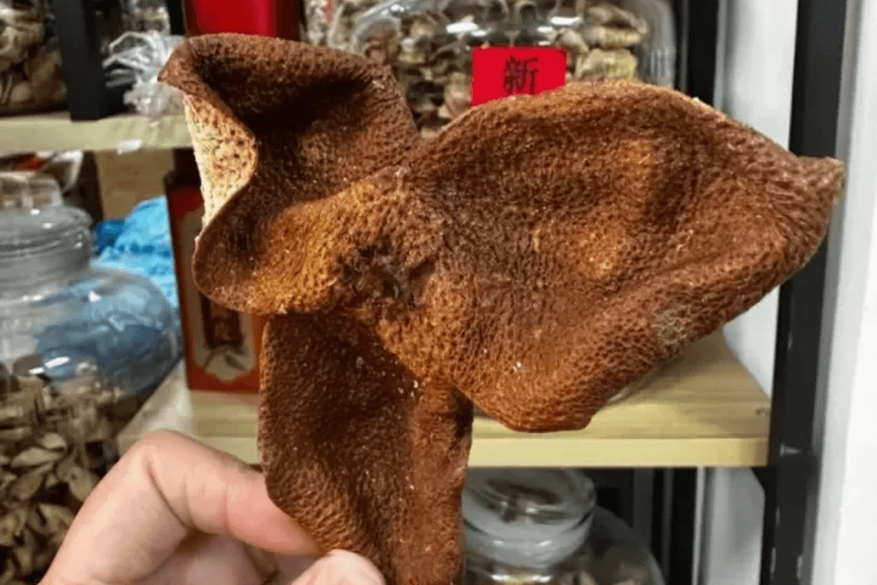 Common Differences Between 3-Year and 15-Year Chenpi