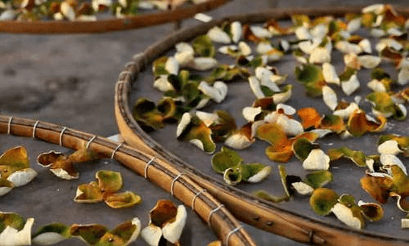 Chenpi Storage in Southern and Northern Climates