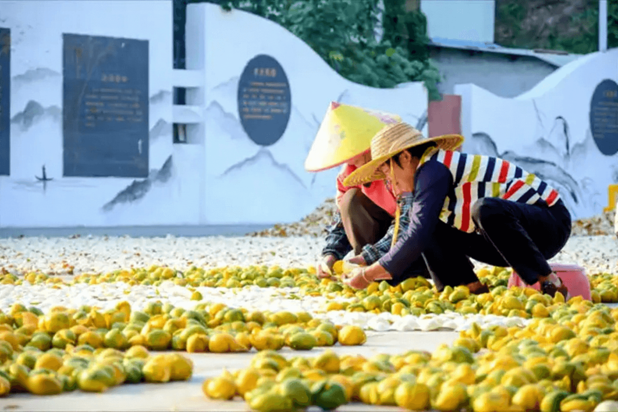 Is It Normal for Home-Dried Citrus Peel to Have a Faint Chenpi Aroma
