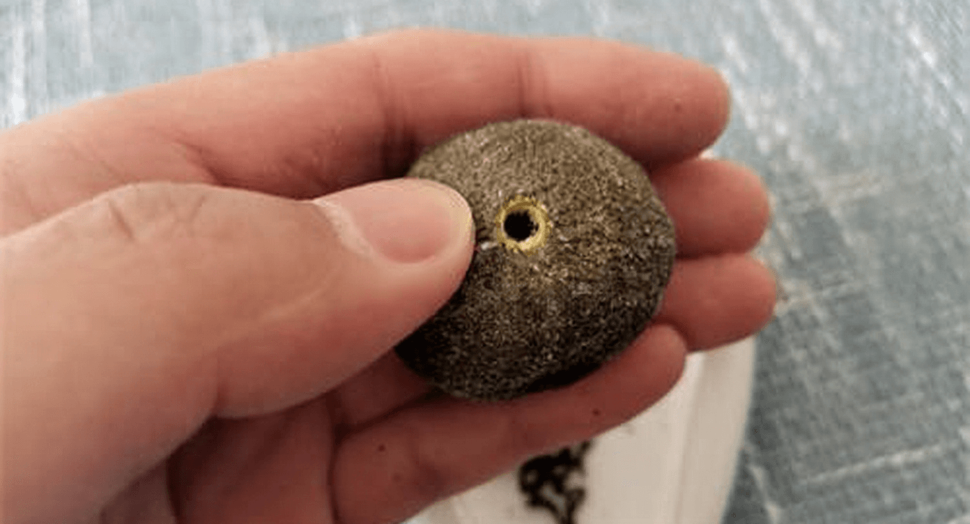 Causes of Musty Odor in Xiaoqinggan and Scientific Preservation Methods