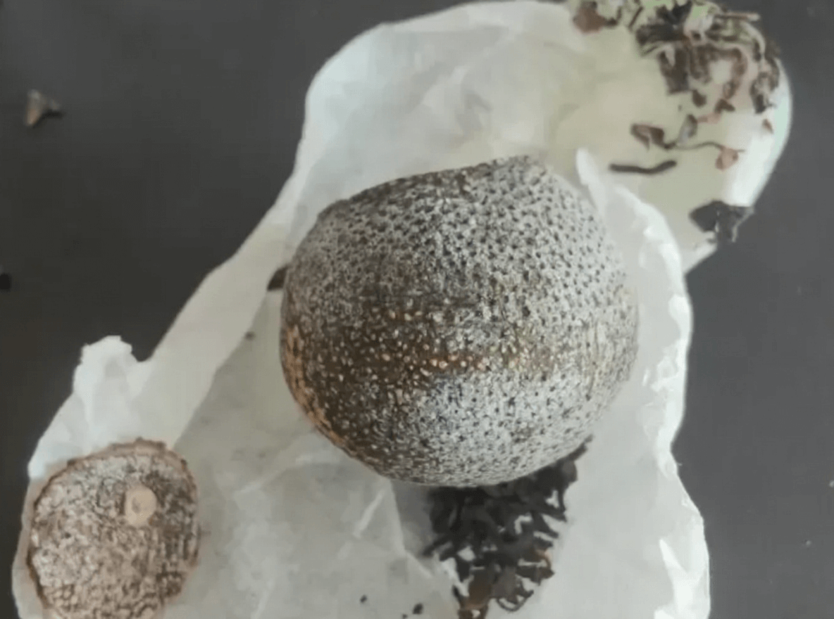 Xiaoqinggan White Frost: Natural Phenomenon or Quality Indicator?