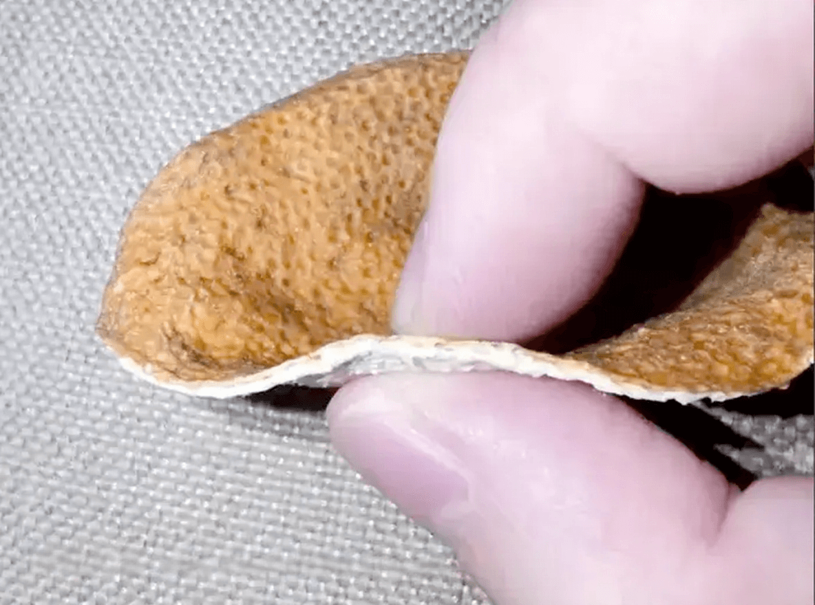 Can you eat chenpi after surgery