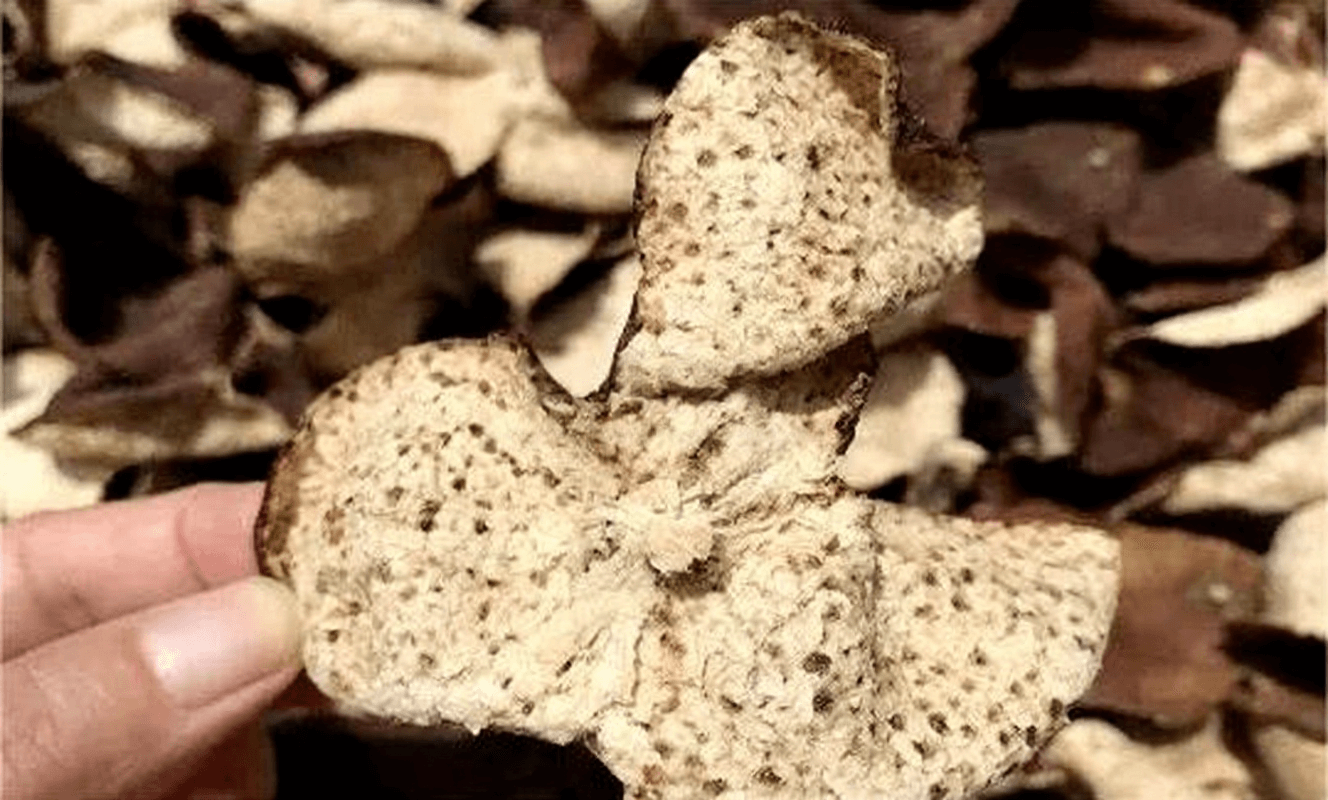 Chenpi Compounds and Flavor Characteristics