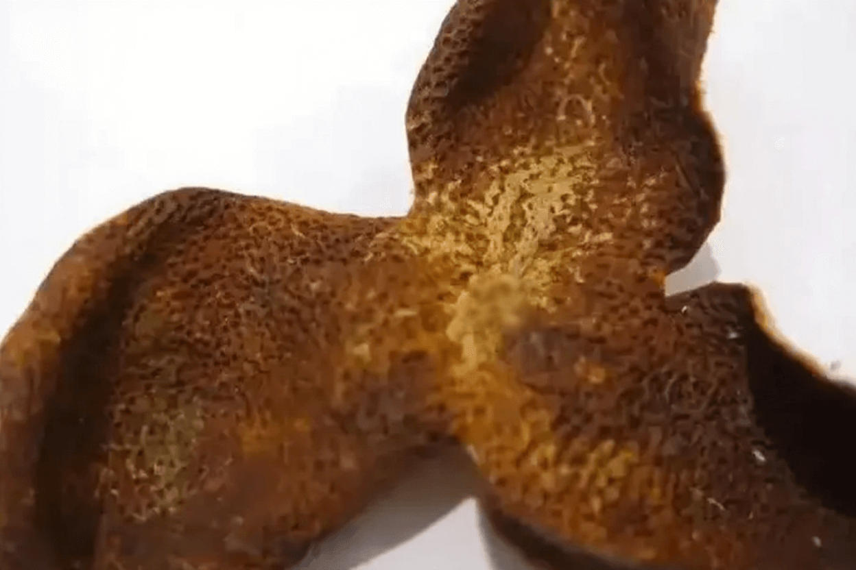 How Many Years Aged Chenpi Is Best for Brewing? Selection Tips