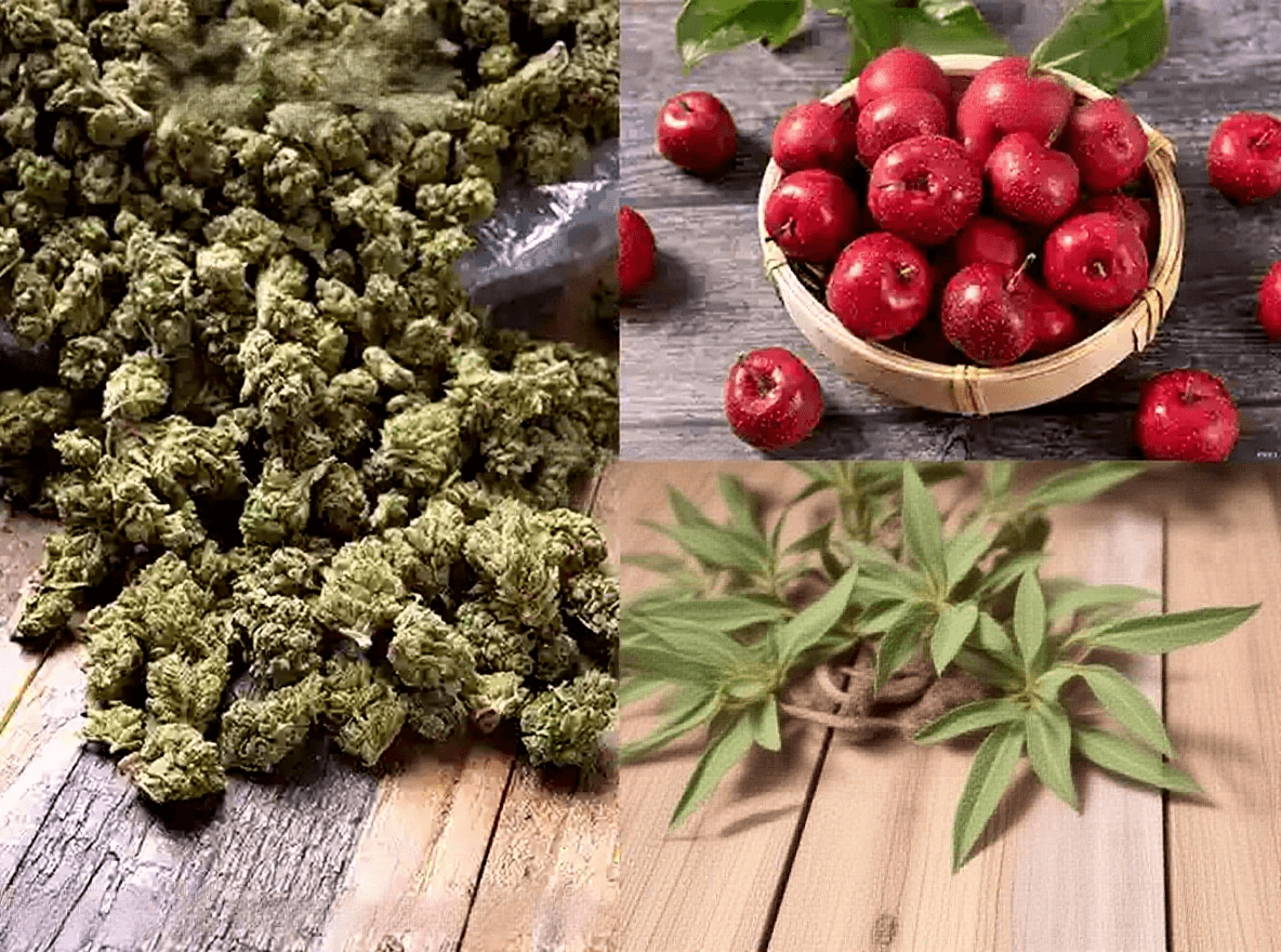 Can Panax Notoginseng Flower, Chenpi, and Hawthorn Be Brewed Together?