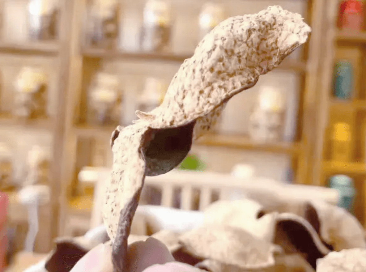 Is Chenpi Just Orange Peel