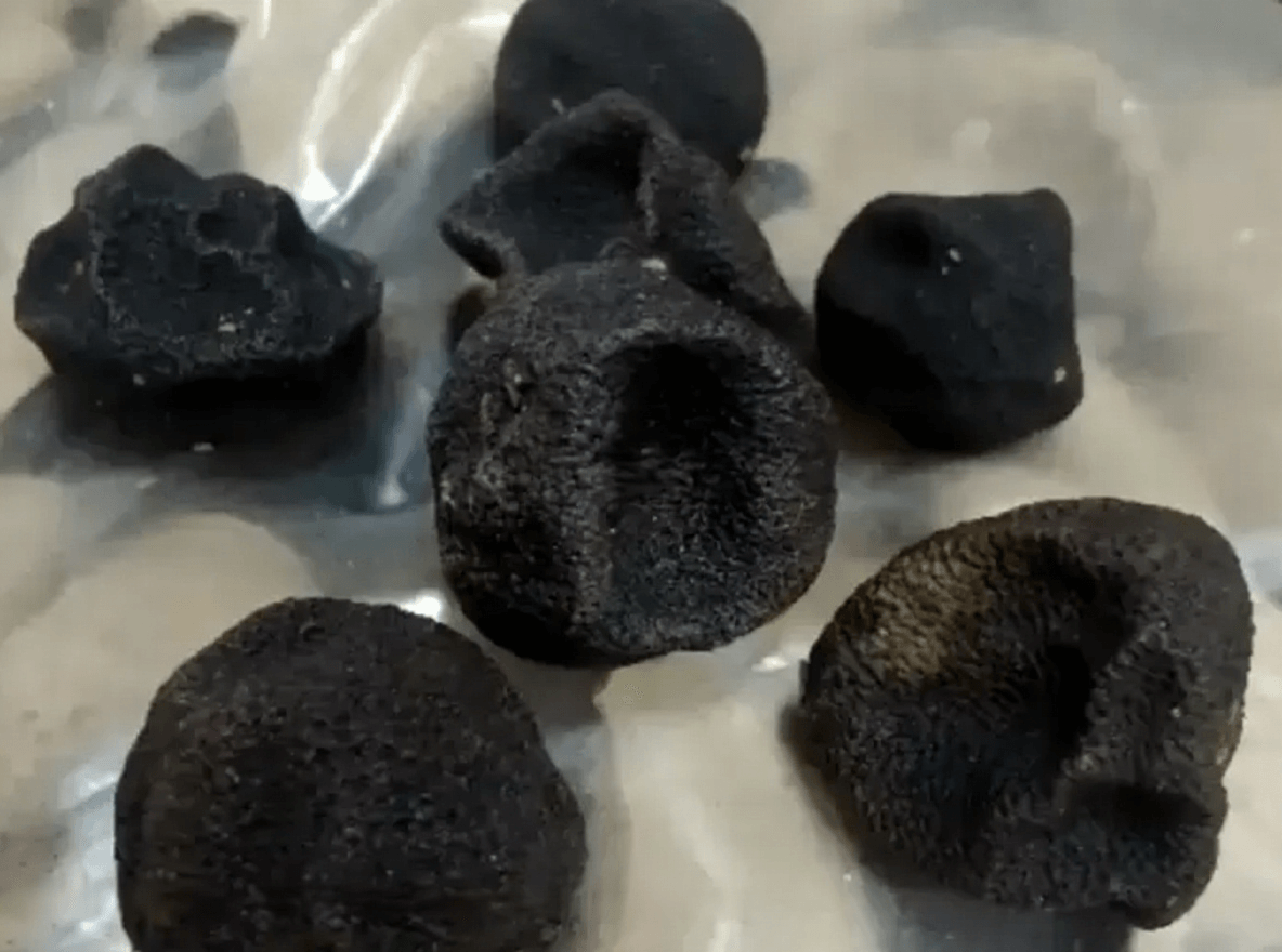 Common Reasons Dried Citrus Peel Looks Black and How to Judge