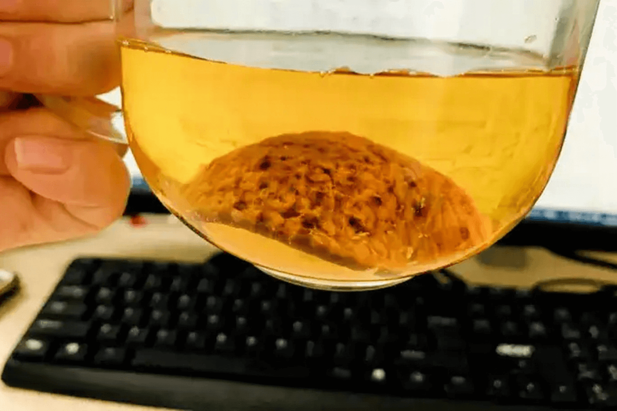 How to Brew Chenpi Tea: A Step-by-Step Guide