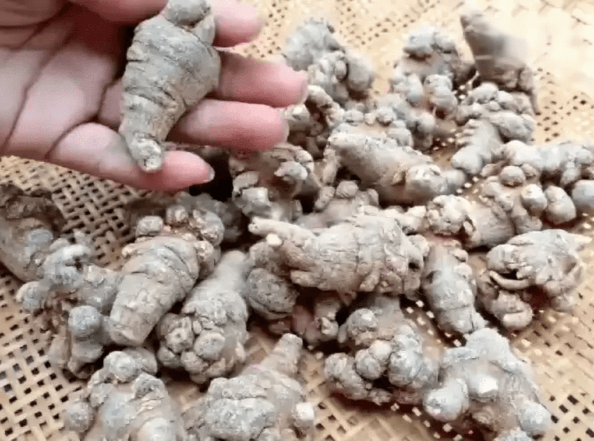 Panax Notoginseng and Tangerine Peel: Efficacy and Precautions in Medicinal Cuisine