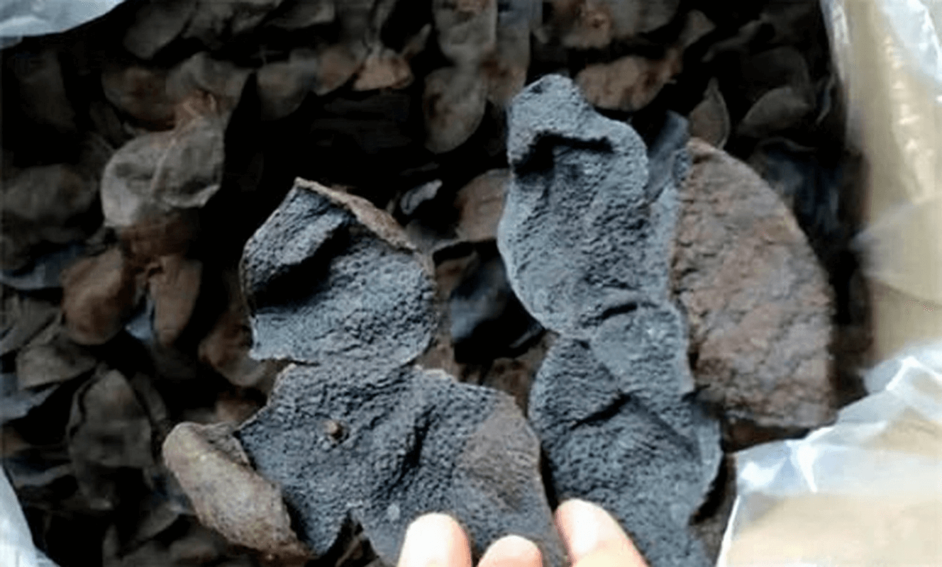 陈皮奶茶的做法与注意事项