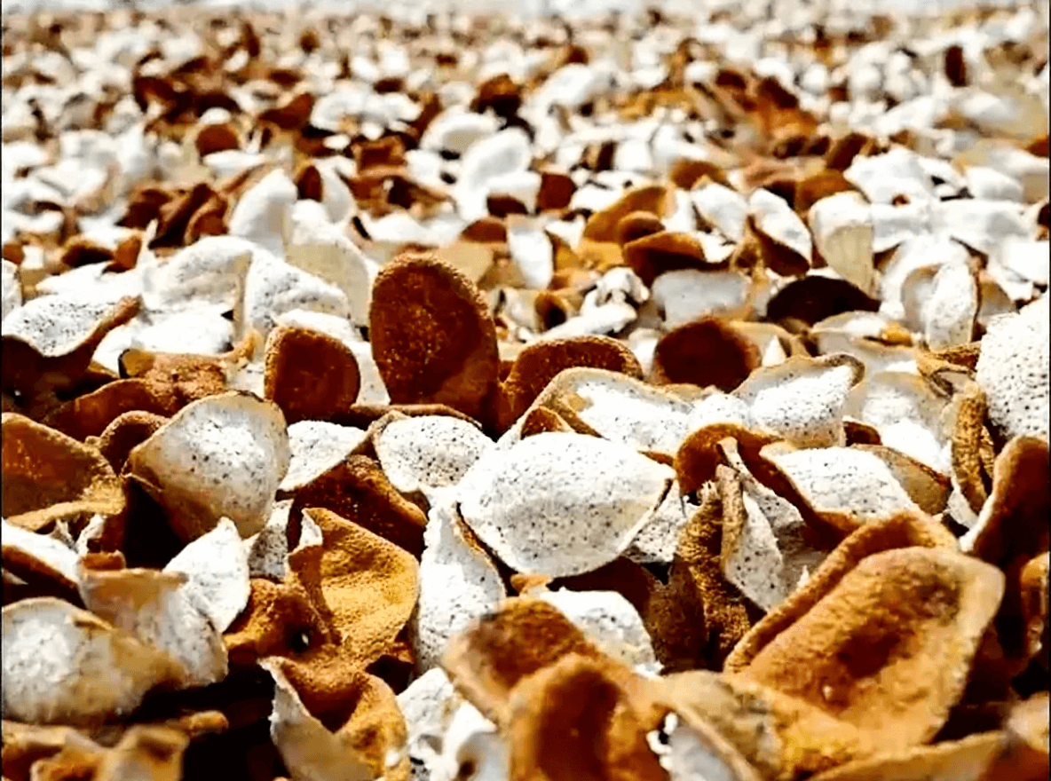 Can Home-Dried Chenpi Be Eaten