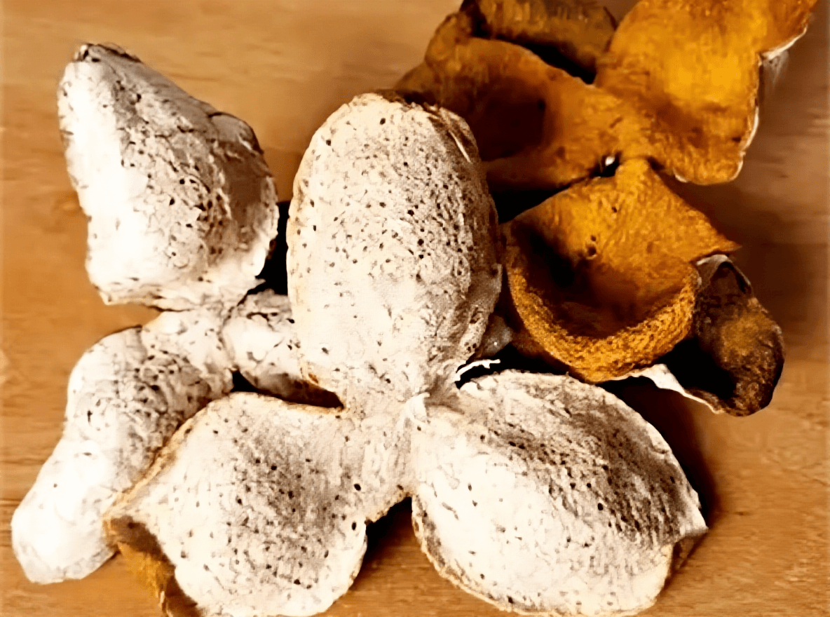 Why Chenpi Tea Tastes Bitter and How to Fix It