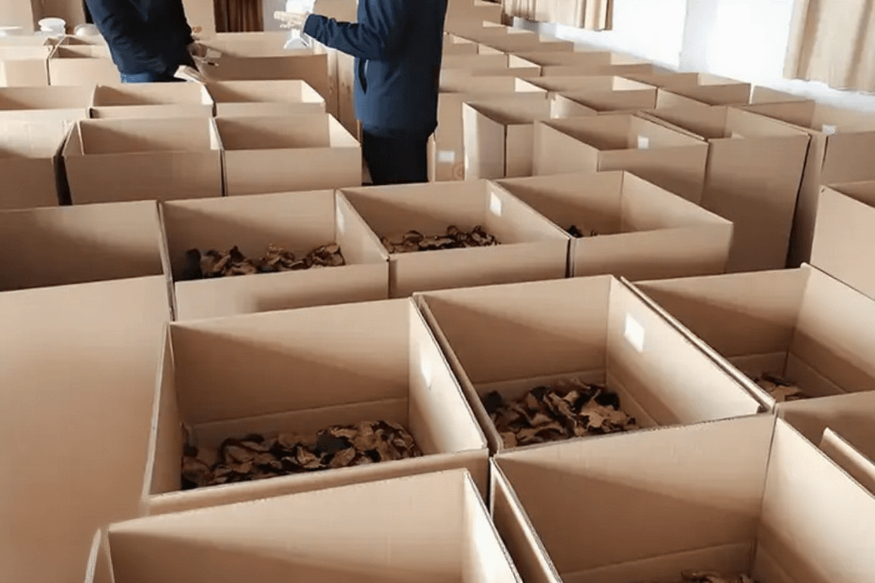 纸箱存放陈皮的透气性与影响