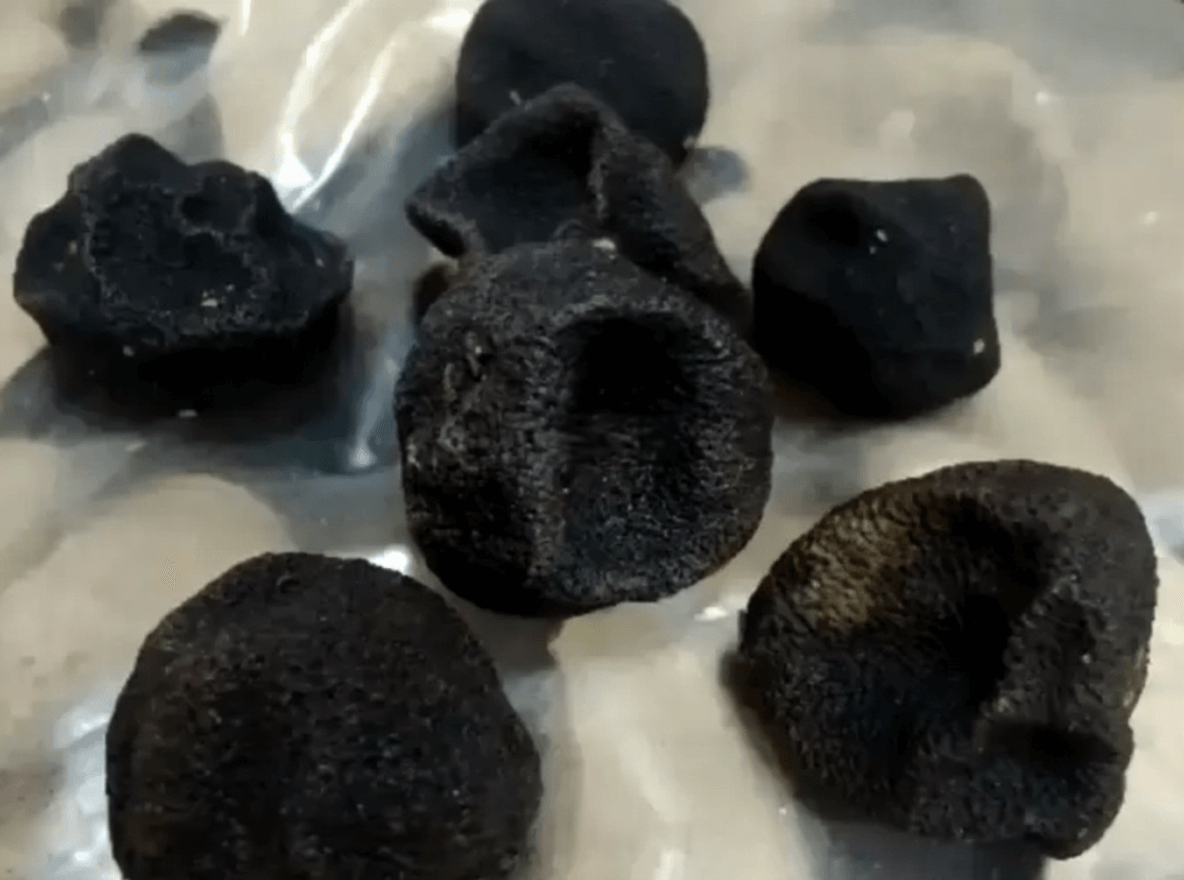 陈皮发黑是否还能用：常见判断思路